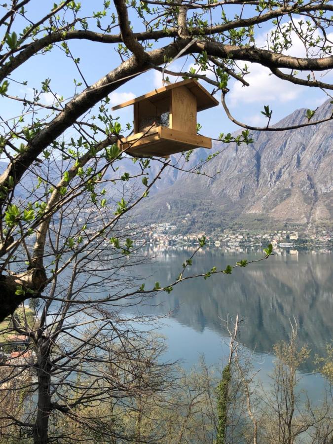 Milly Lake Claino Екстериор снимка